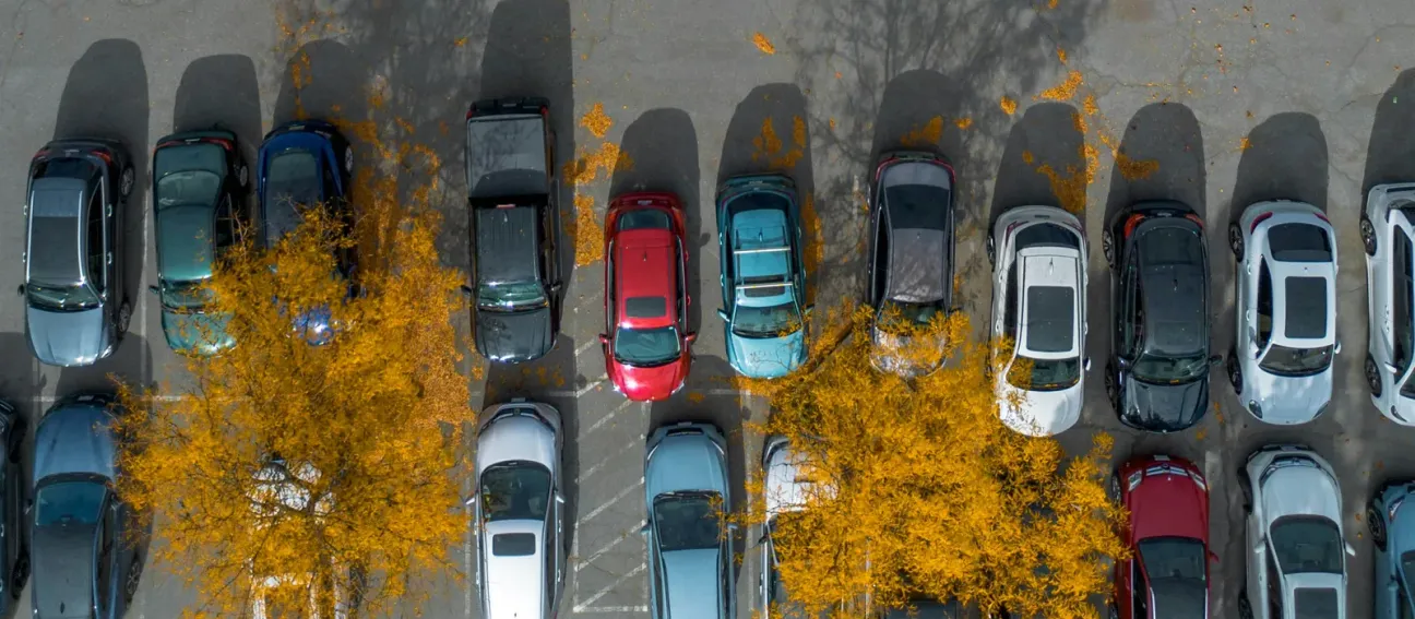 An aerial view of a car park in autumn, with golden trees casting long shadows across the bays